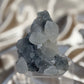 “Frosted pocket” Black Chalcedony B