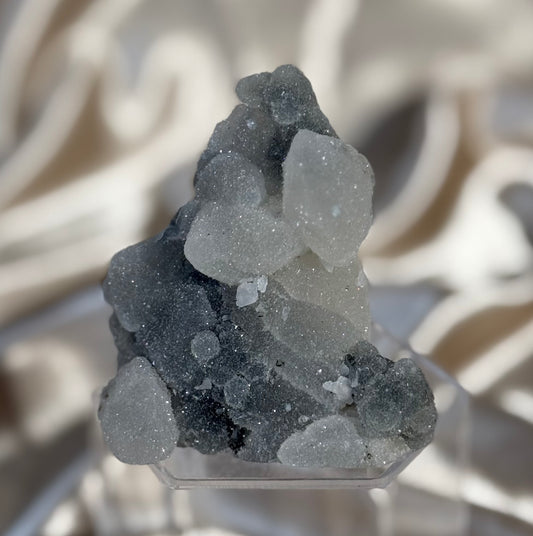 “Frosted pocket” Black Chalcedony B