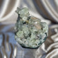 ‘Ivy Thorn’ Pointed Green Apophyllite C