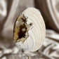Fossilized Clam Shell With Calcite A