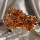 ‘Sun Kissed’ Apophyllite over Hematite C