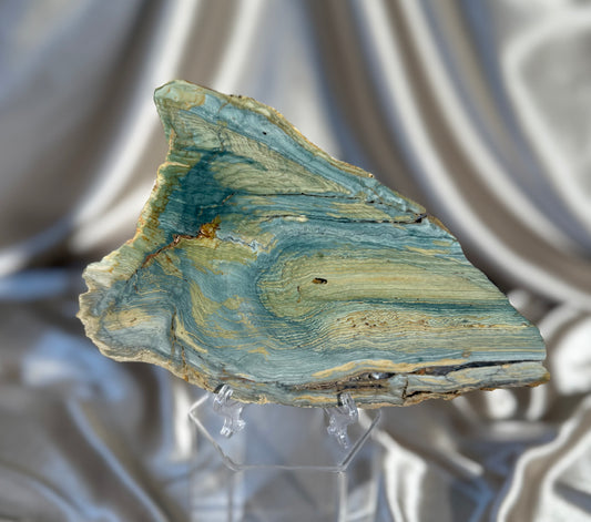Bogwood-Larsonite Slab B