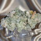 ‘Ivy Thorn’ Pointed Green Apophyllite F