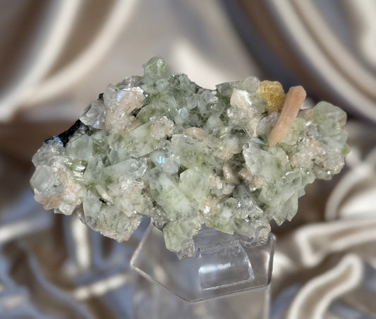 ‘Ivy Thorn’ Pointed Green Apophyllite F