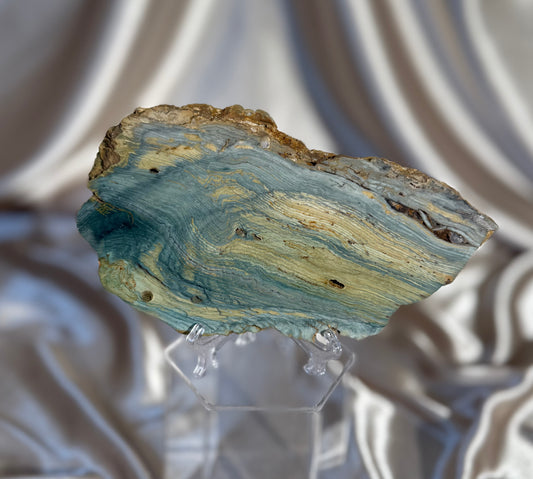 Bogwood-Larsonite Slab A