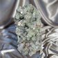 XL ‘Ivy Thorn’ Pointed Green Apophyllite