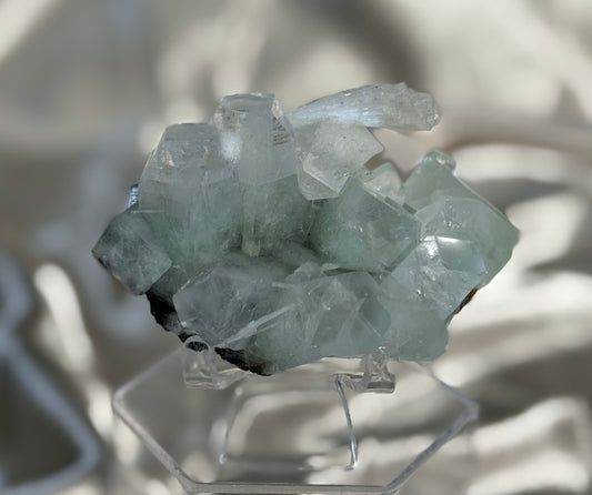Green Apophyllite with Scolecite D