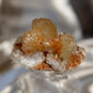 ‘Sun Kissed’ Apophyllite over Stilbite F