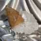 XL Honey Calcite with Quartz