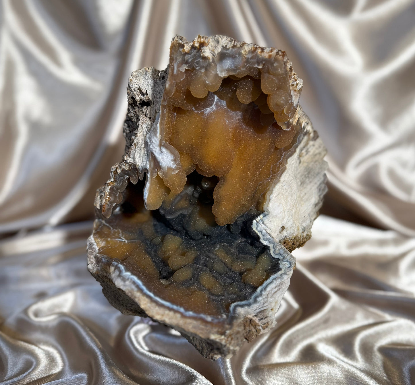 XL Druzy Agatized Fossil Coral