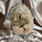 Fossilized Clam Shell with Calcite B