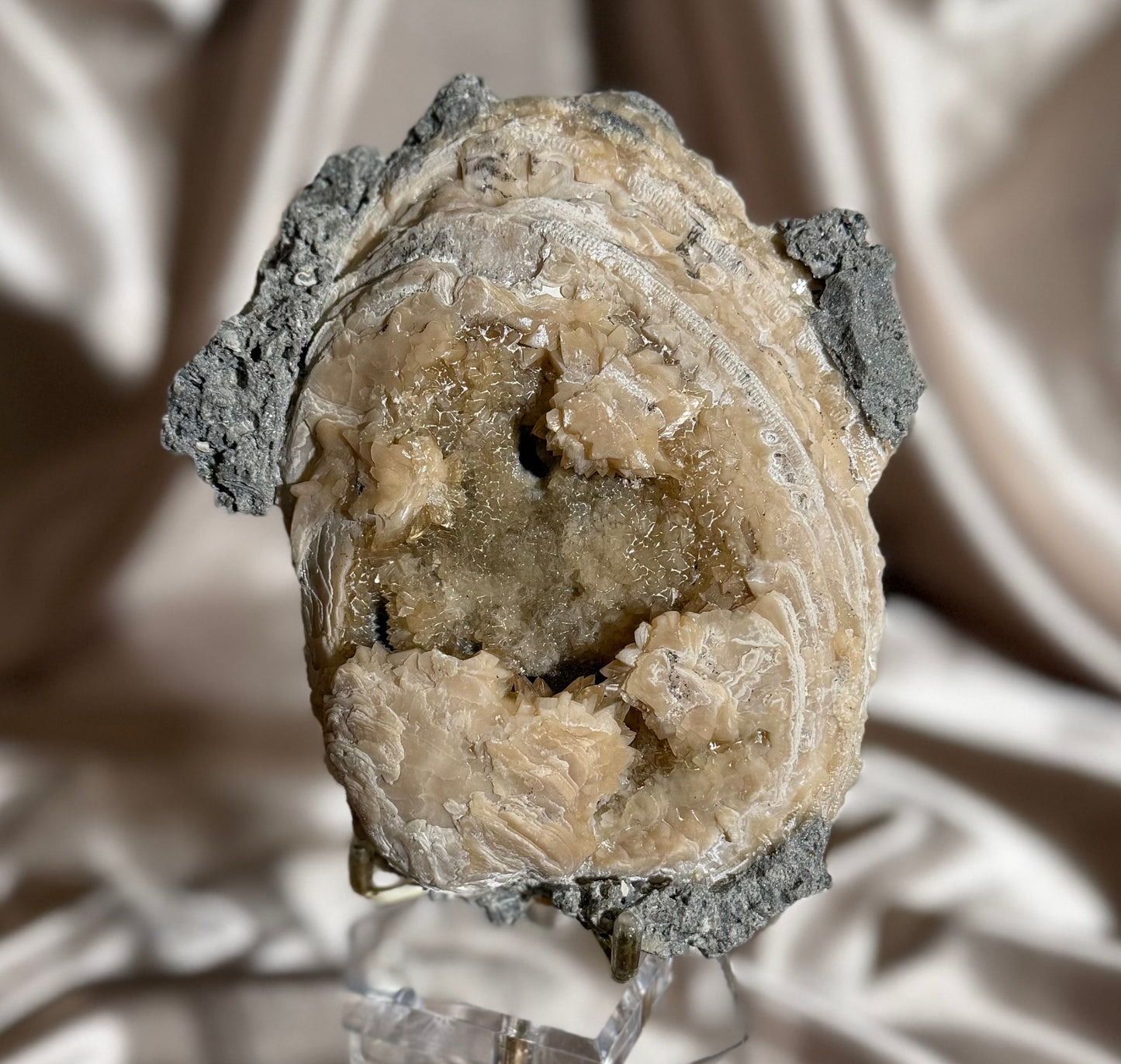 Fossilized Clam Shell with Calcite B
