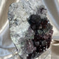 Purple Marshy Apophyllite