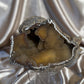Druzy Agatized Fossil Coral
