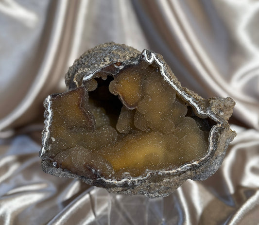 Druzy Agatized Fossil Coral