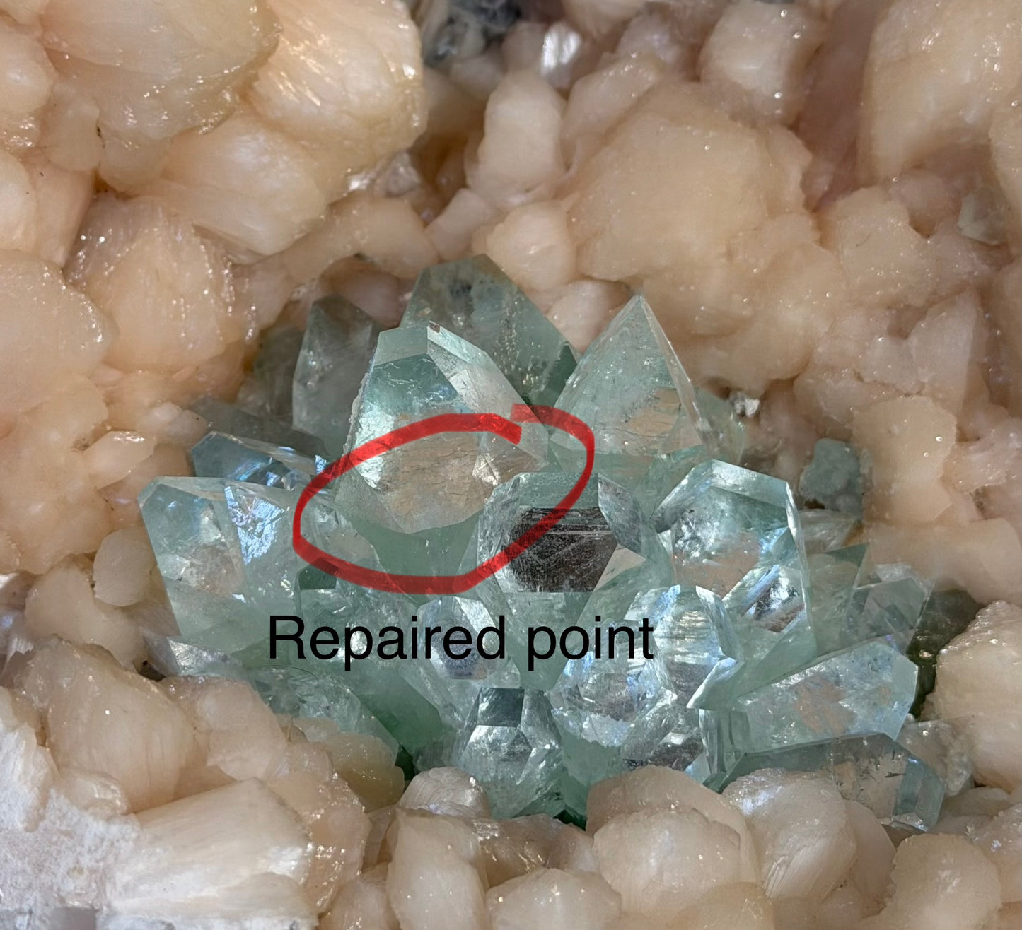 XL Flowered Green Apophyllite