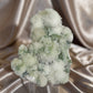 ‘Pistachio Crunch’ Green Apophyllite on Mordenite B
