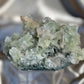 ‘Ivy Thorn’ Pointed Green Apophyllite B
