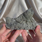 ‘Fairy Moss’ Green Coated Calcite F