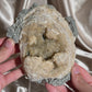 Fossilized Clam Shell with Calcite B