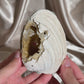 Fossilized Clam Shell With Calcite A