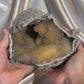 Druzy Agatized Fossil Coral