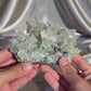 ‘Ivy Thorn’ Pointed Green Apophyllite B