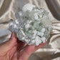 “Sage bloom” Apophyllite with Gyrolite G