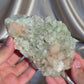 ‘Ivy thorn’ Pointed Green Apophyllite D