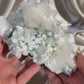 “Sage bloom” Apophyllite with Gryolite C