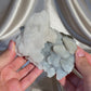 Chalcedony Coated Calcites A