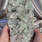 XL ‘Ivy Thorn’ Pointed Green Apophyllite